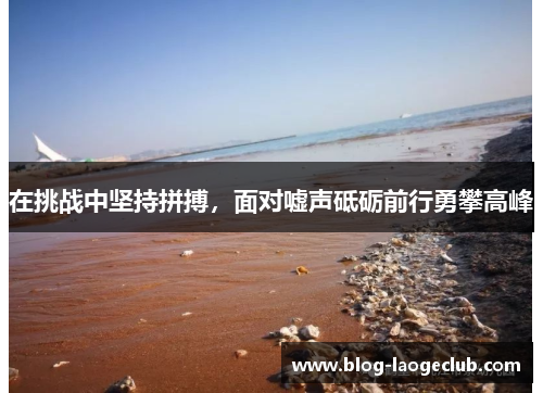 在挑战中坚持拼搏，面对嘘声砥砺前行勇攀高峰