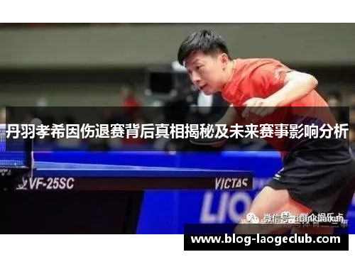 丹羽孝希因伤退赛背后真相揭秘及未来赛事影响分析