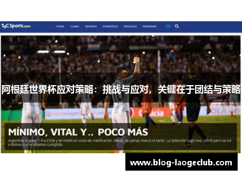 阿根廷世界杯应对策略：挑战与应对，关键在于团结与策略