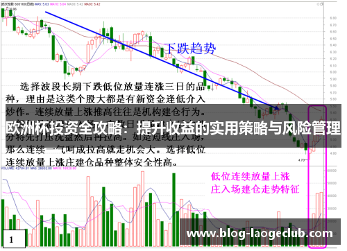 欧洲杯投资全攻略：提升收益的实用策略与风险管理