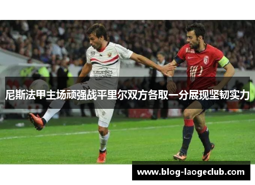 尼斯法甲主场顽强战平里尔双方各取一分展现坚韧实力